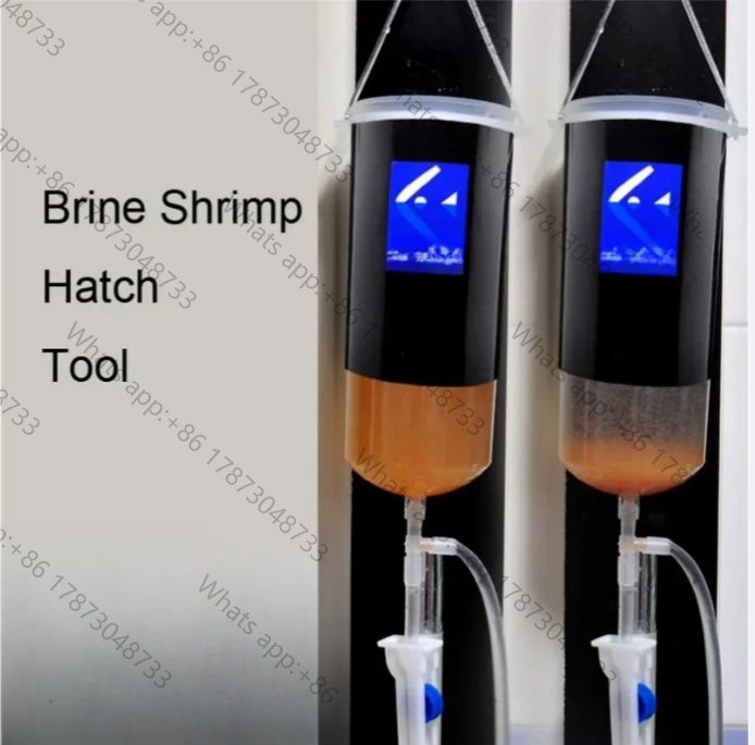 Baby Food Shrimp - Uova di artemia vive per gamberetti,