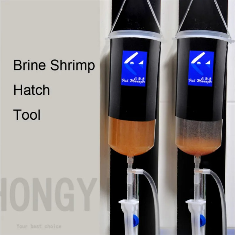 Baby Food Shrimp - Fata gamberetti uovo artemia vivo facile