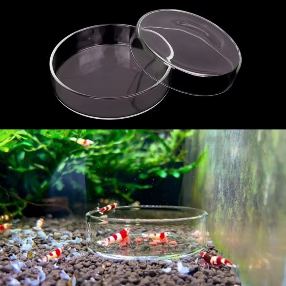 Baby Food Shrimp - Ciotola per l'alimentazione dell'acquario in vetro