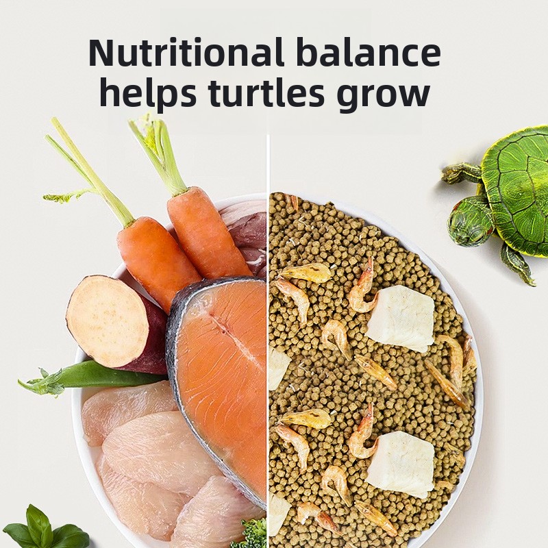 GEN CLIMB Baby Turtle Starter  - Baby Food Shrimp recensione e prezzo