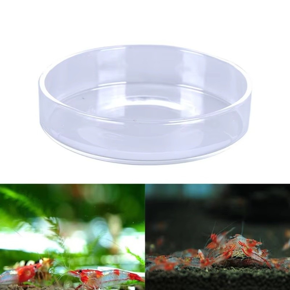 Ciotola per l'alimentazione de - Baby Food Shrimp recensione e prezzo